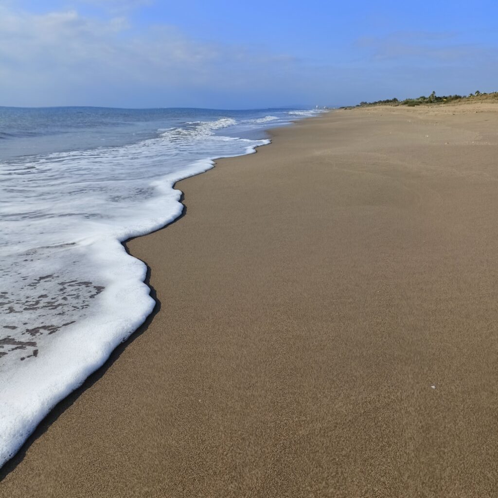 Calm beach scene with gentle waves and clear skies, perfect for relaxation.